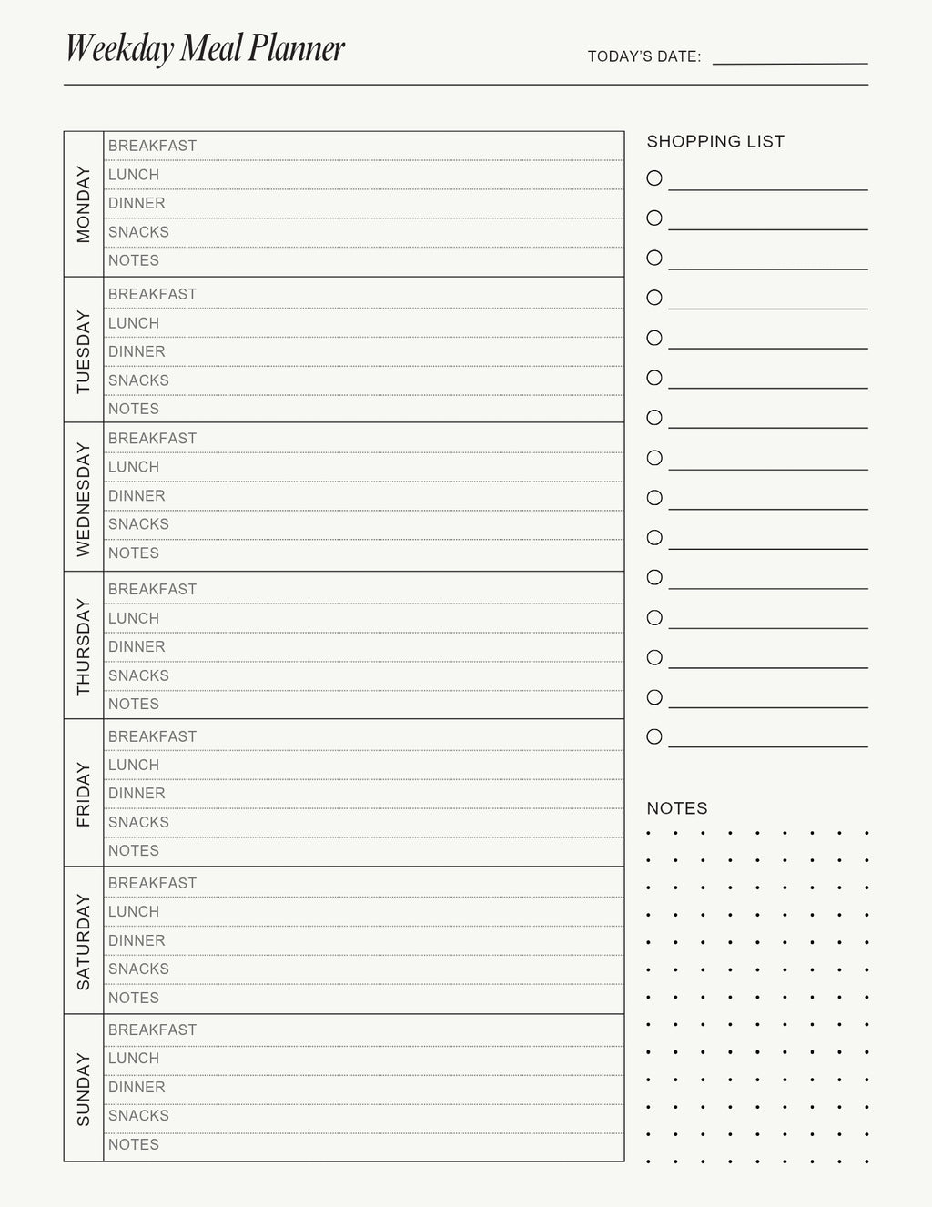 Digital Daily Planner/Printable & iPad Planner