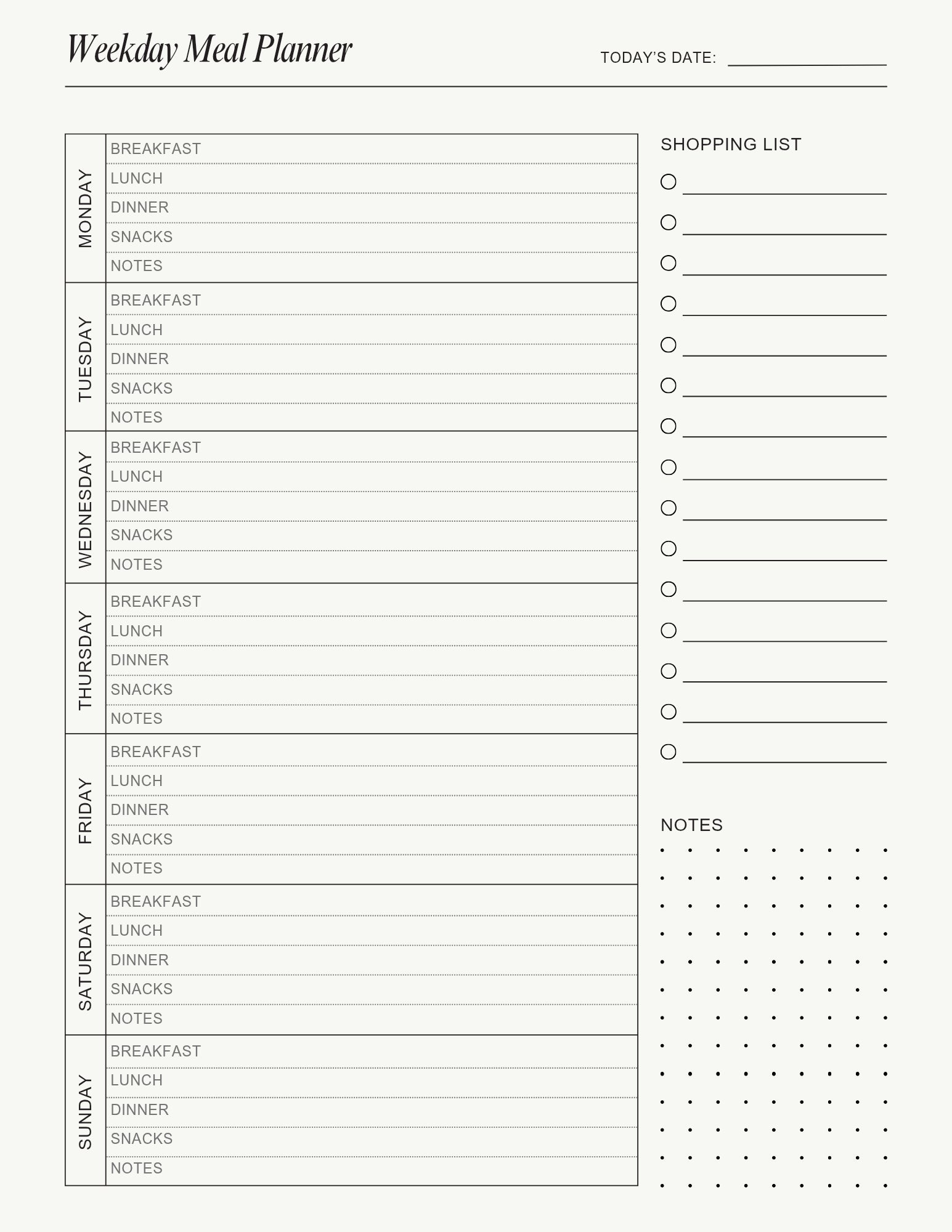 Digital Daily Planner/Printable & iPad Planner